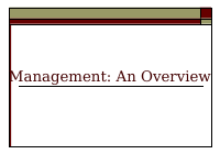 management_overview.pdf